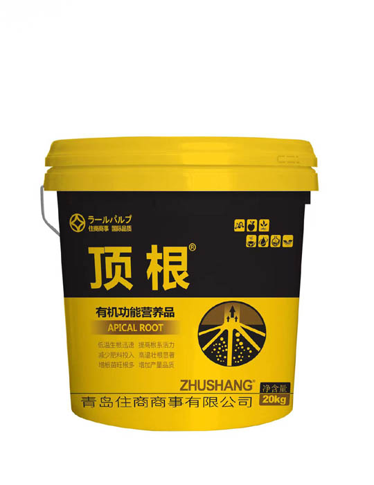 顶根